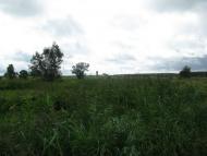 Демидів з panoramio.com