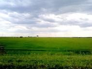 Лазурне - Останні фото