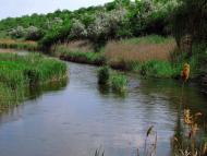 Городуватка з panoramio.com