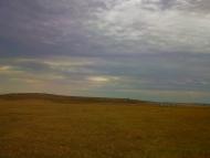 Каштани з panoramio.com