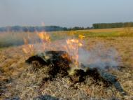 Літки з panoramio.com