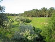 Первозванівка з panoramio.com