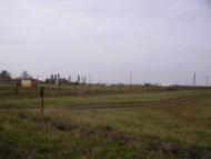 Федорівка з panoramio.com