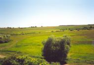 Новосілки з panoramio.com