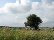 Богуслав з panoramio.com