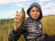 Олешник з panoramio.com