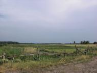 Селище з panoramio.com