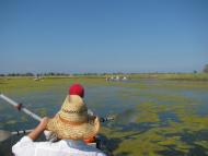 Покровське з panoramio.com