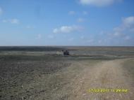 Томарине з panoramio.com