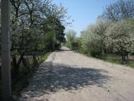 Федорівка з panoramio.com