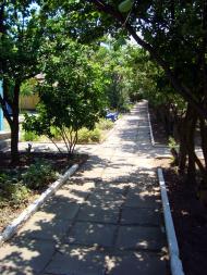 Приморський Посад з panoramio.com