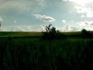 Вертелка з panoramio.com