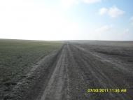 Томарине з panoramio.com