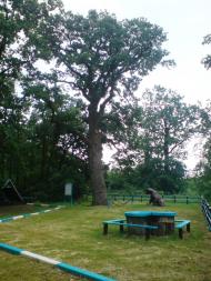 Слюсареве з panoramio.com