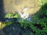 Голубівське з panoramio.com