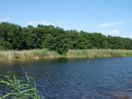 Куликове з panoramio.com