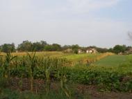 Лузанівка з panoramio.com