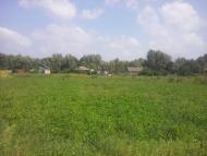 Терехівка з panoramio.com