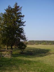 Зноб-Новгородське - Останні фото