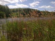 Загорівка з panoramio.com