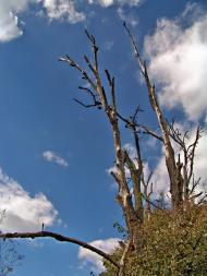 Бране Поле з panoramio.com