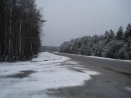 Дольськ з panoramio.com