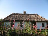 Мар'янівка з panoramio.com