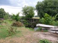 Хитці - Останні фото