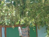 Аврора - Останні фото