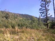 Мислівка з panoramio.com