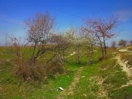 Приятне Свідання з panoramio.com