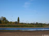 Базарове з panoramio.com