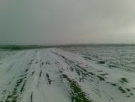 Юр'ївка з panoramio.com