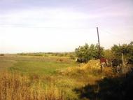 Дружелюбівка - Останні фото