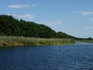 Куликове з panoramio.com