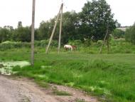 Уладівка з panoramio.com