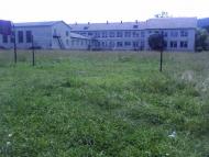 Ріп'яна з panoramio.com