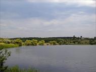 Петрове з panoramio.com