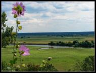 Мезин з panoramio.com