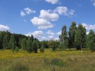 Ракужа з panoramio.com