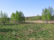 Ракужа з panoramio.com