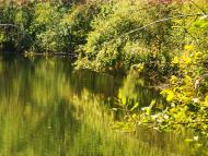 Грабівка з panoramio.com