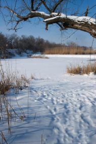 Комсомольське з panoramio.com