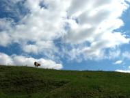 Куманівці з panoramio.com