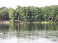 Дубечне з panoramio.com