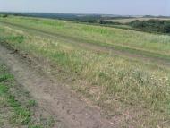 Борщі з panoramio.com