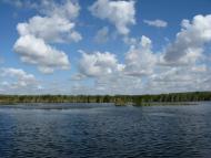 Федорівка з panoramio.com