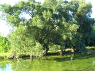 Проходи з panoramio.com