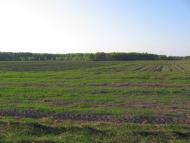 Ракужа з panoramio.com