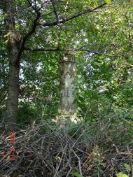 Рукшин з panoramio.com